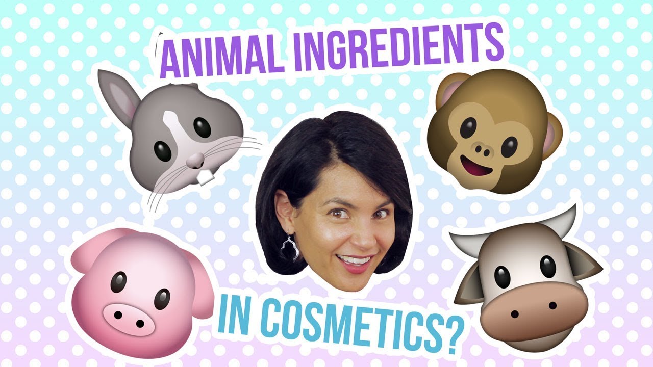 Q&A: How To Identify Animal Ingredients In Cosmetics? 🐰🐮🐷