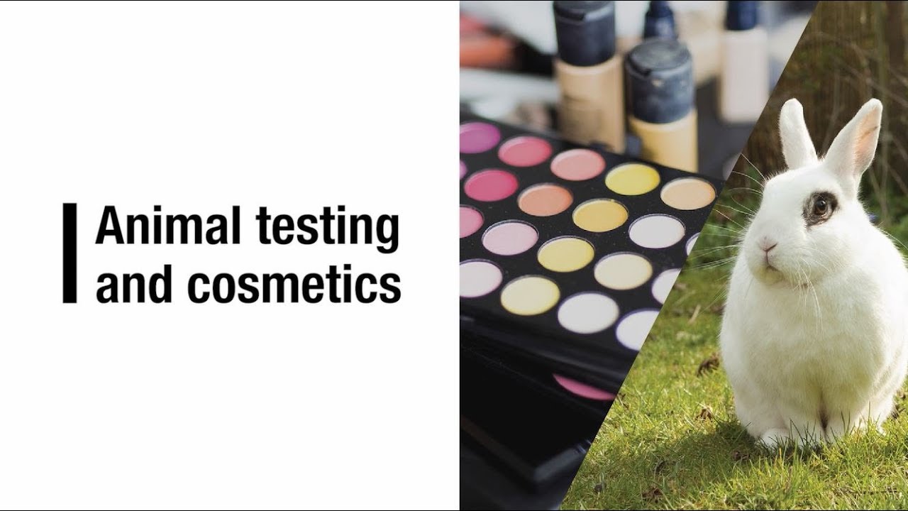 Animal testing in cosmetics - cruelty-free