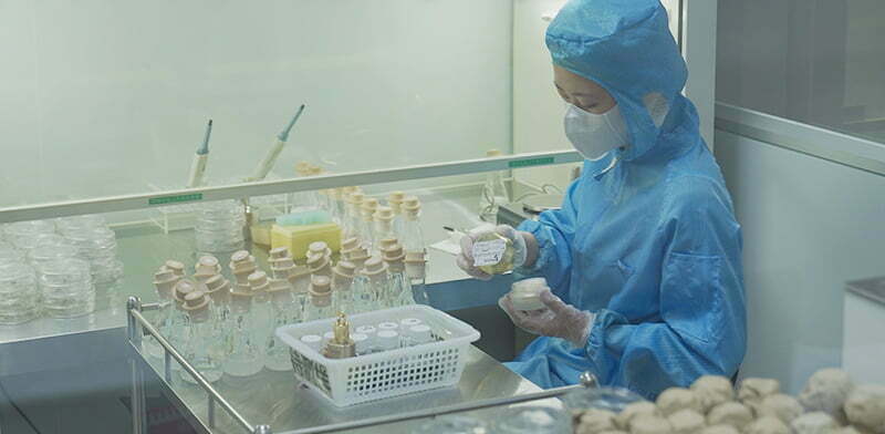 Do thorough quality checking