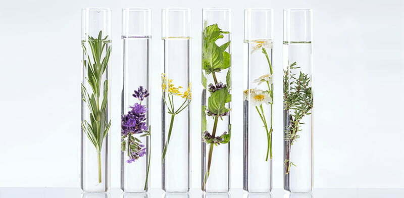 What are the typical ingredients used for producing body care/personal care products?